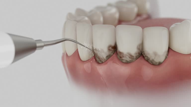 Reliable Dental contractor in Riverdale Park, MD by Dentist Open Now